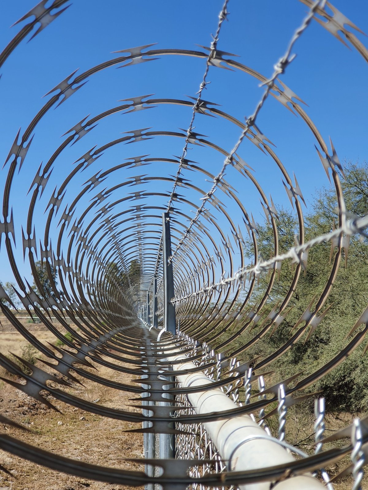 Concertina de acero instalada en proyecto de seguridad perimetral para campo agrícola en León, Guanajuato